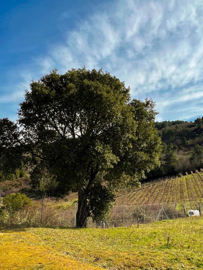 A Portelina Casa Rural Villa Rubia Dış mekan fotoğraf